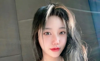 국내에서 보기드문 슴 - 스포츠토토맨