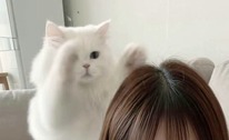 미스터 골 - 스포츠토토맨