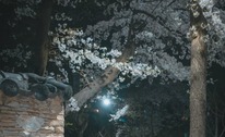 이정도는 건전하지 - 스포츠토토맨